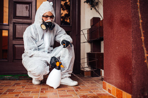 Reliable Cockroach Control contractor in Lake Bluff, IL by Nex Pest Control